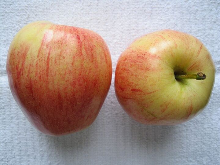 Gala Apple: fruit